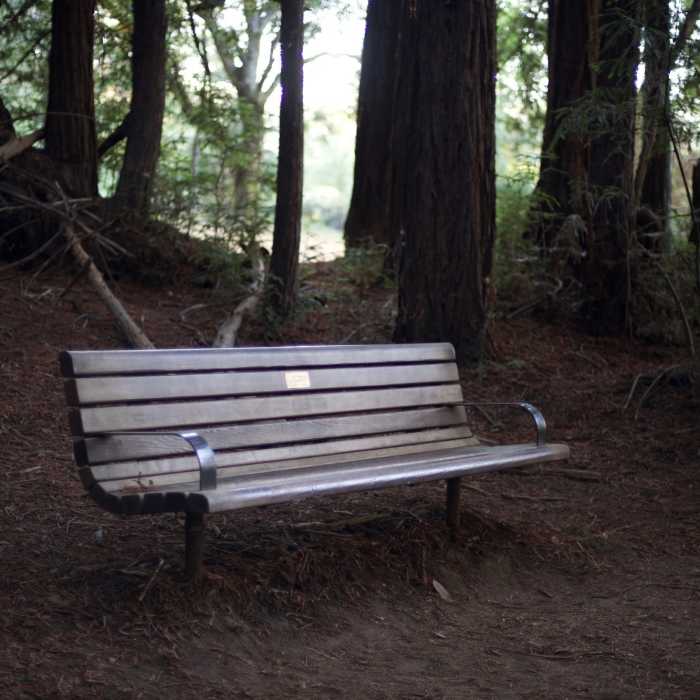 Benches like this one on the Redwood Trail, can be found sprinkled throughout Wunderlich Park. They are a good place to take a break as many trails climb up into the park. Near Redwood Trail