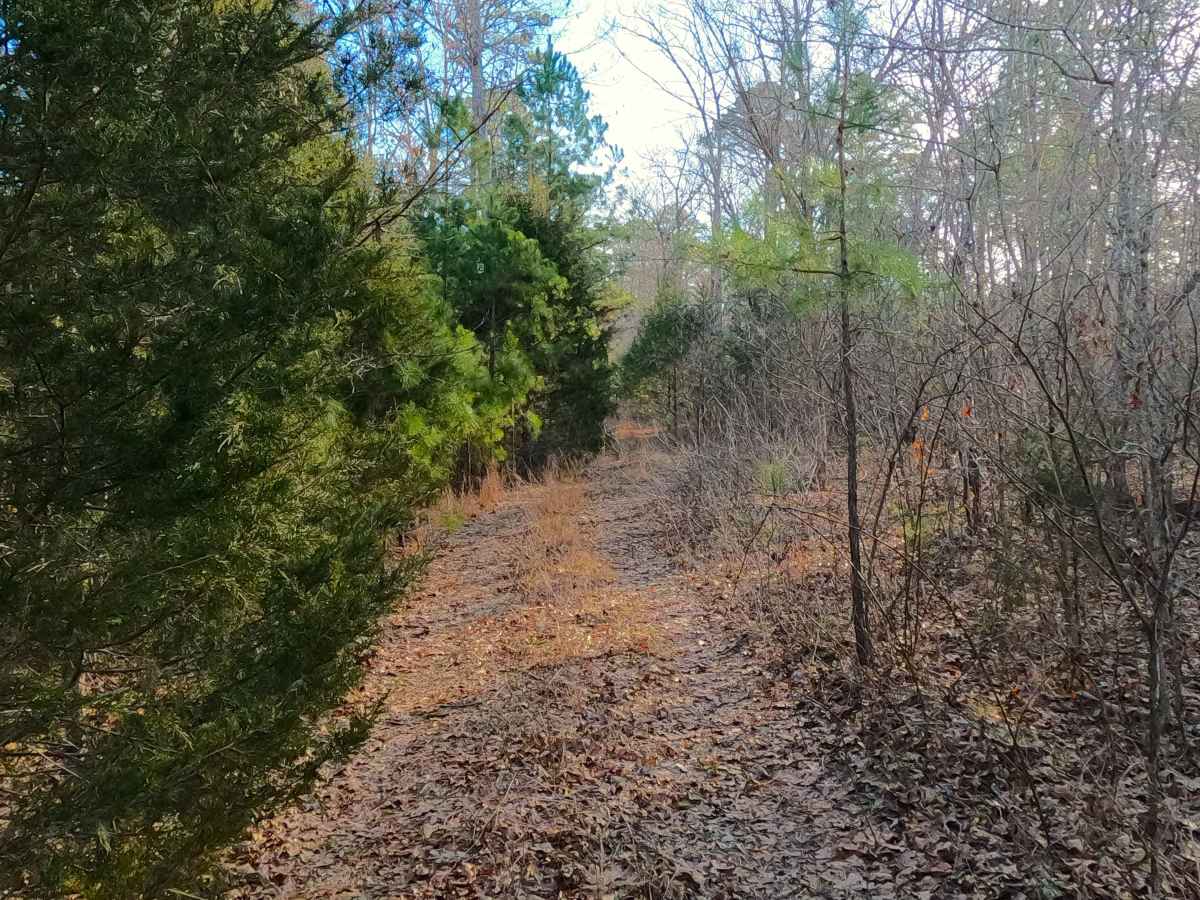 Duffy's Hollow Spur A - FS 419A  photo 3