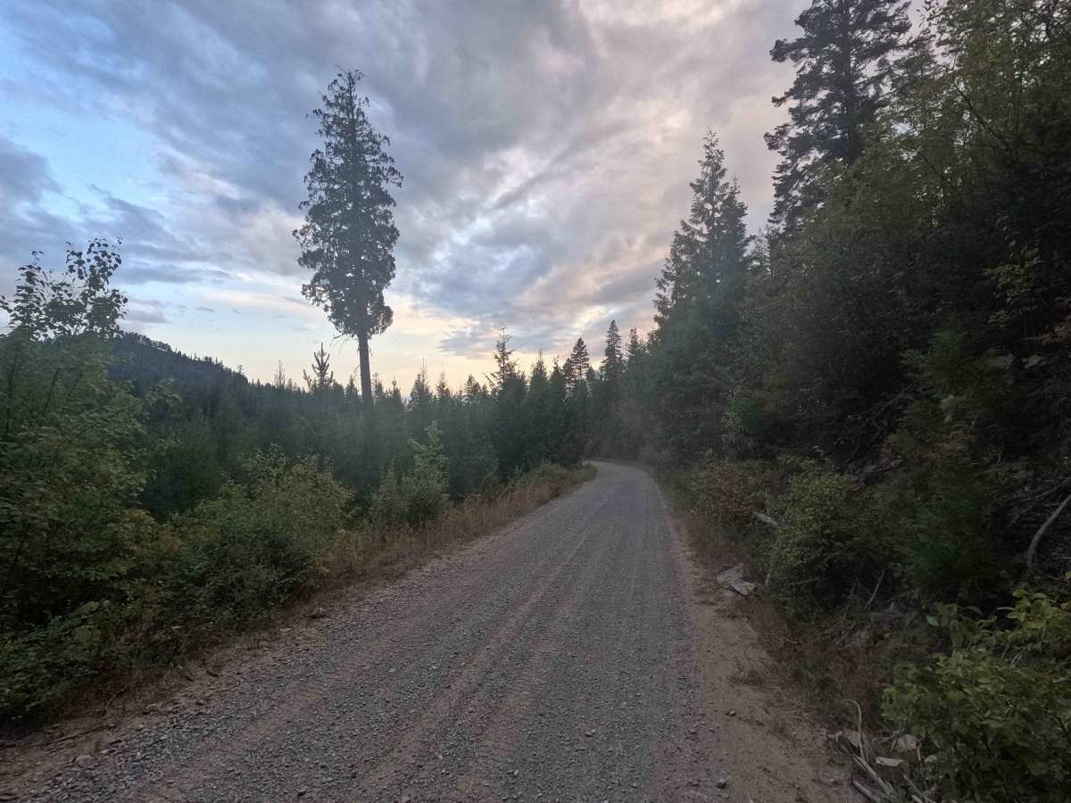 Kings Lake Road - FS 50 photo 4