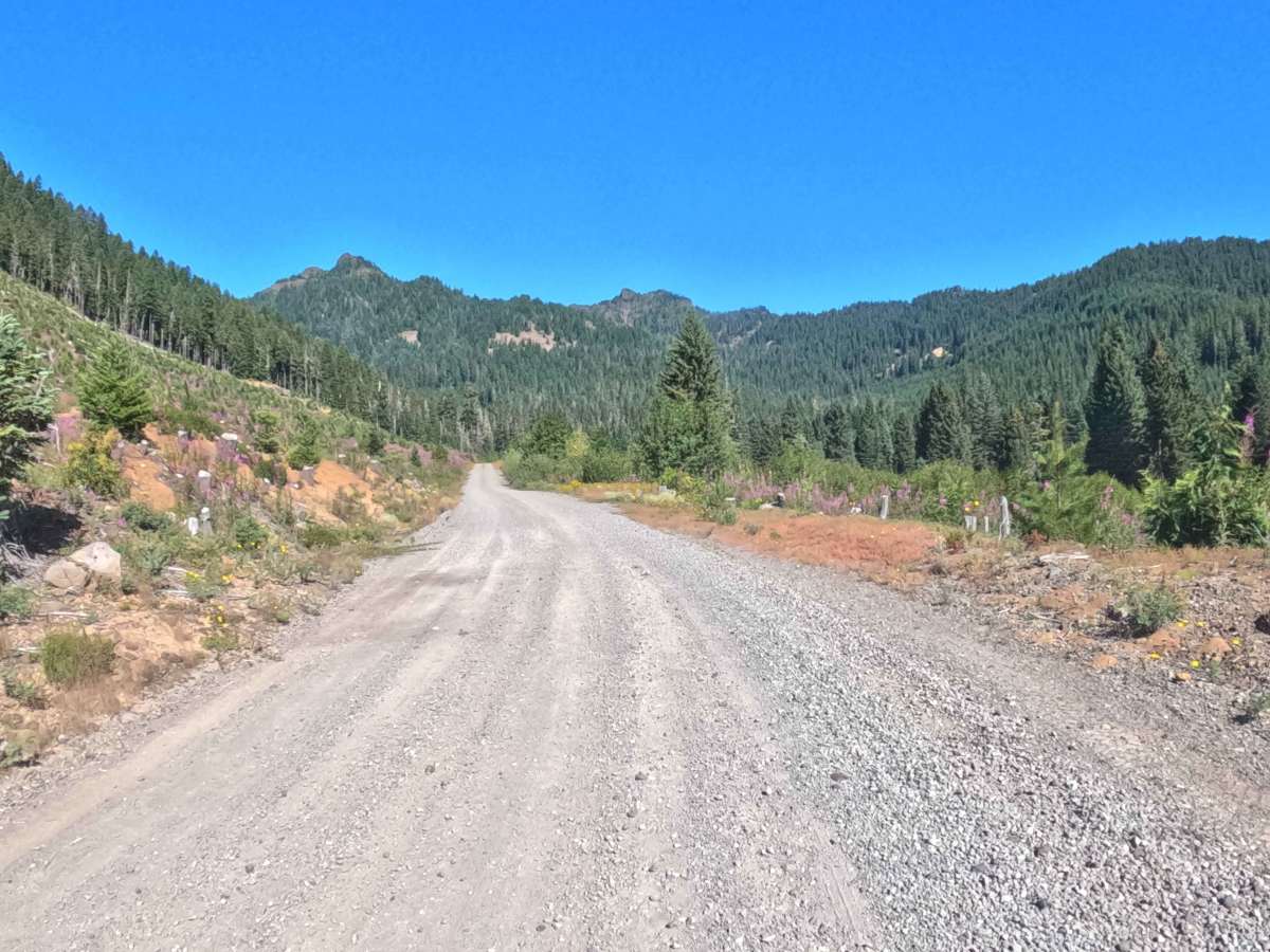 Parks Creek Road - FS 2067560  trail photo