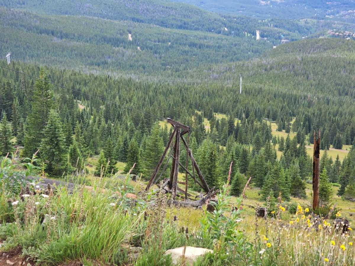 Mt. Baldy Road photo 6