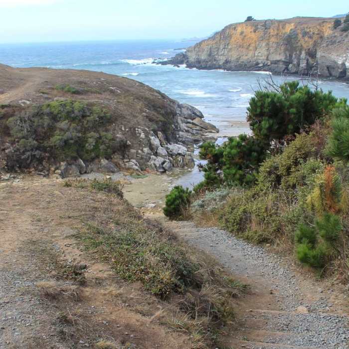 Near Salt Point Trail