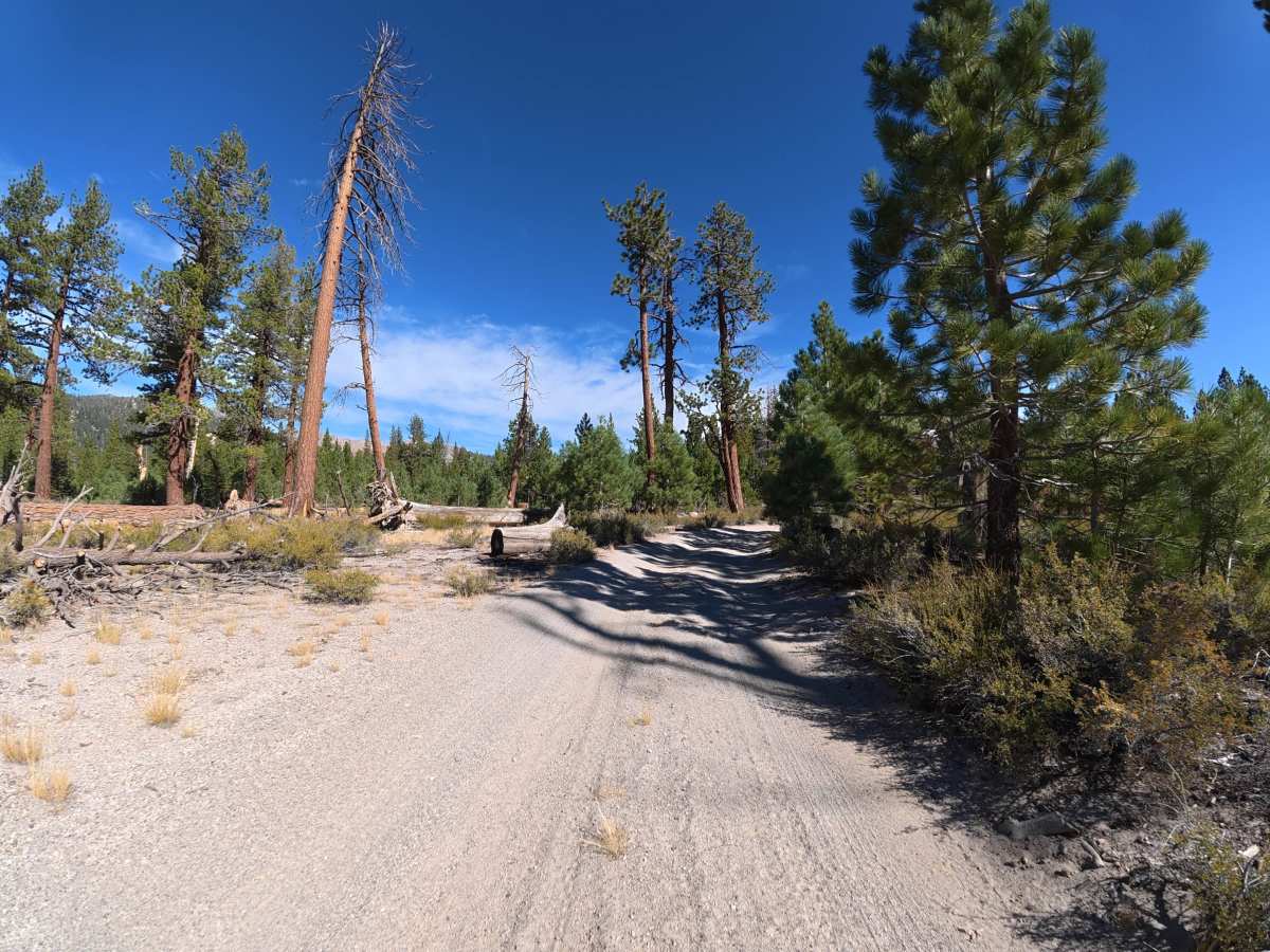 Deadman Flats - FS 3S56 photo 4