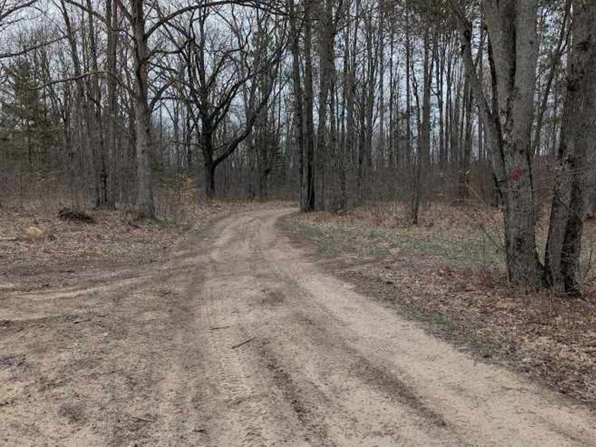 Riske Road photo 5