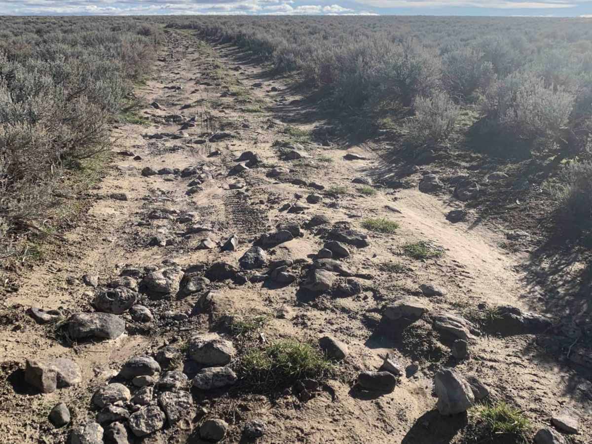 Callen To Whisky Creek Overlook trail photo