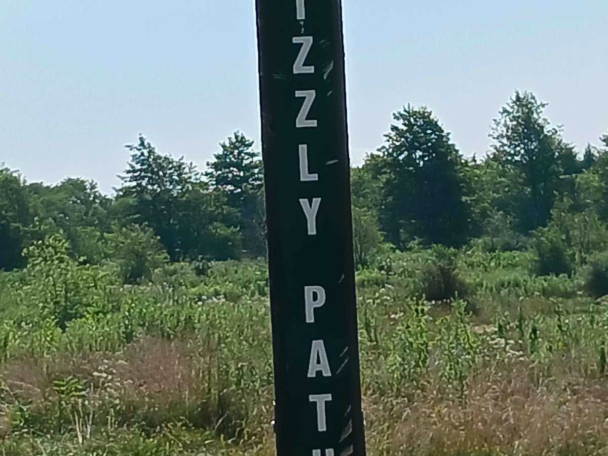 Grizzly Path - Rock Run Recreation Area trail photo