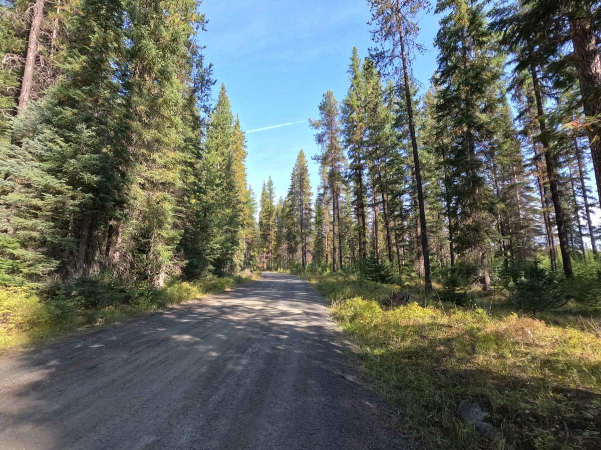 FS 7005530 trail photo