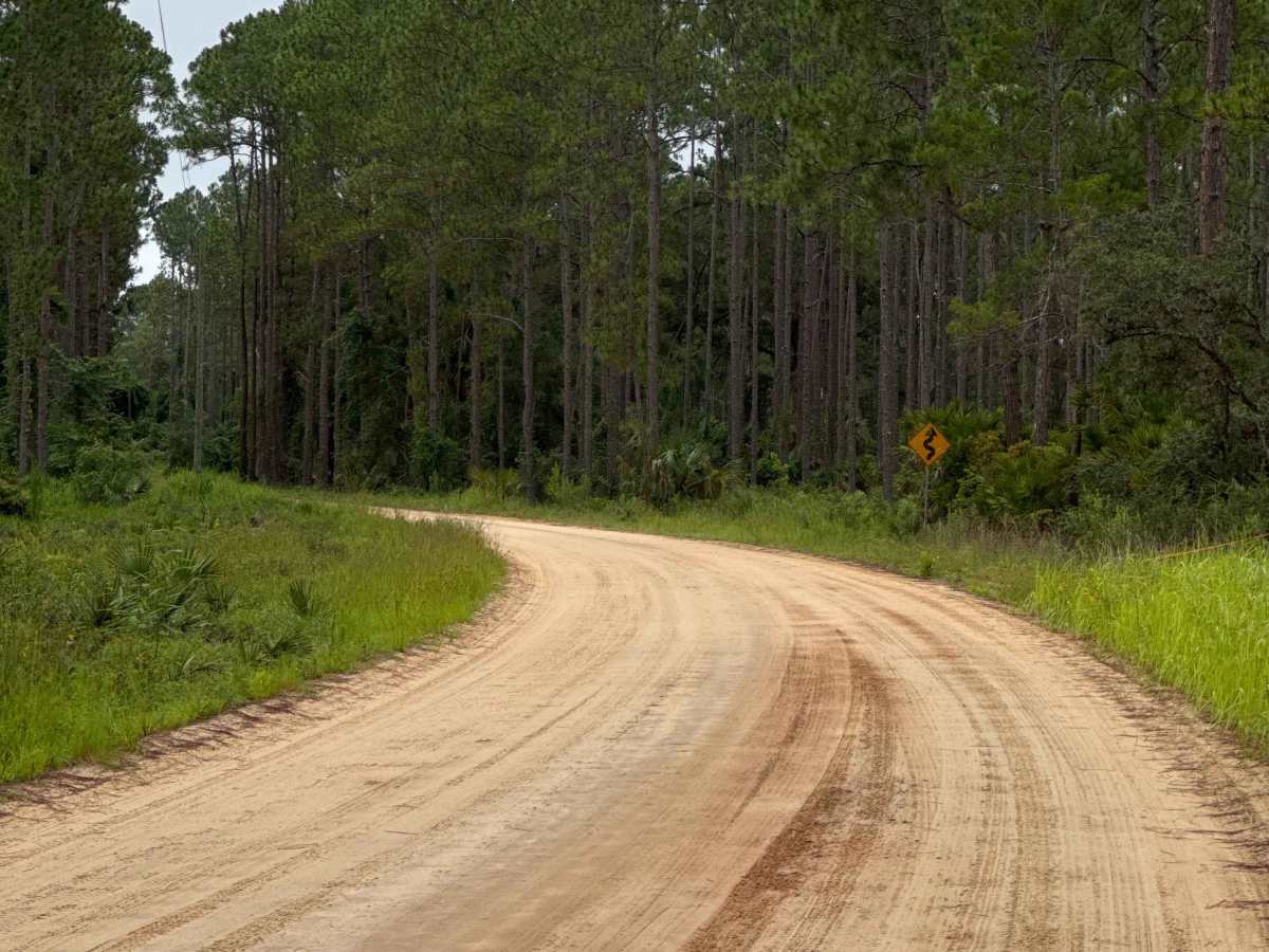 Blue Creek Lodge Road trail photo