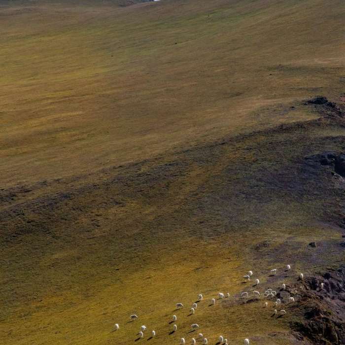 Near Delano Peak Hike