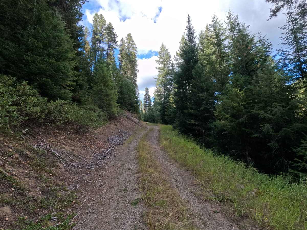 Tola - FS 461 photo 2