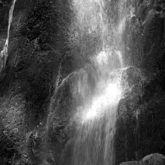 Near Herman Creek Trail #406