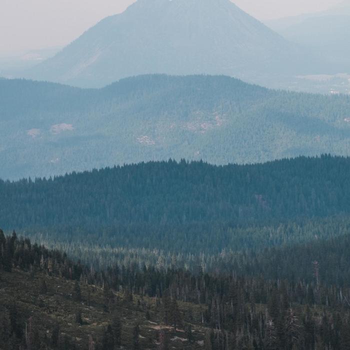 Near Castle Lake Overlook