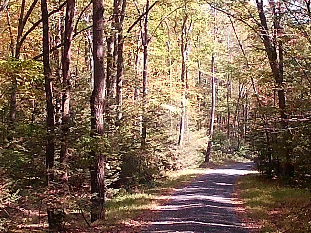 Spruce Mountain Road photo 6