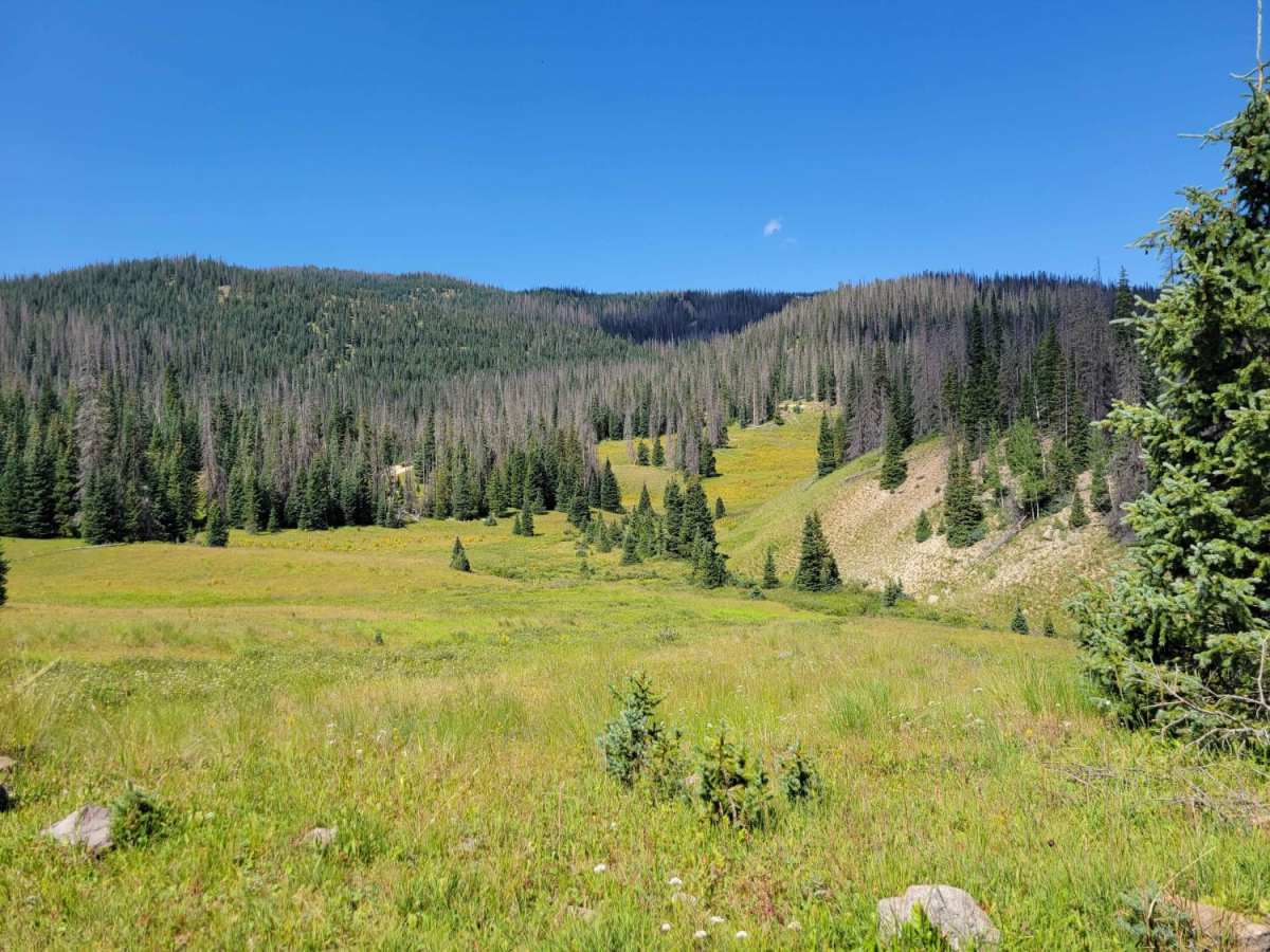 West Fork Park Creek Ascent photo 6