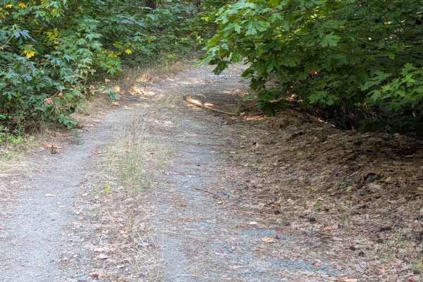 Creek Road - FS 29N57
