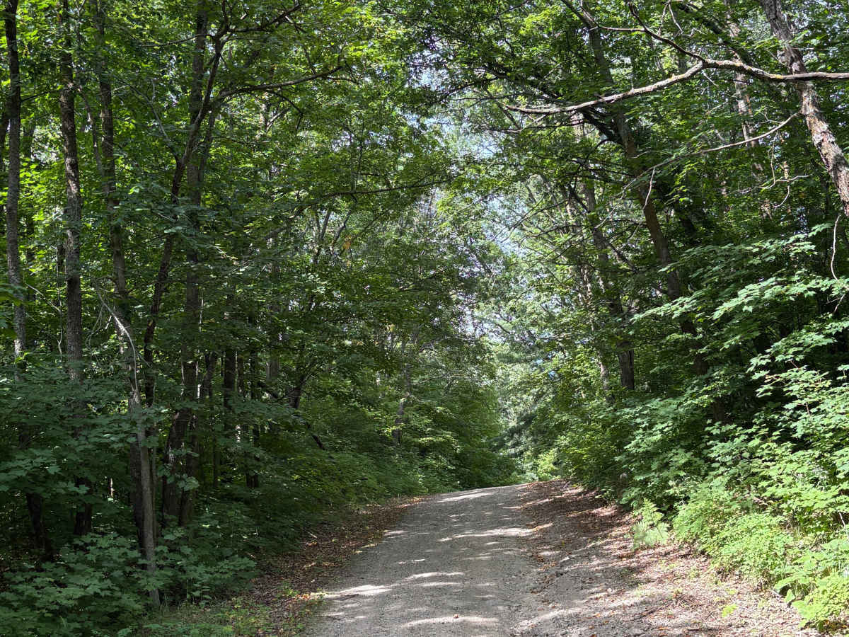 South Tulaby Trail photo 5