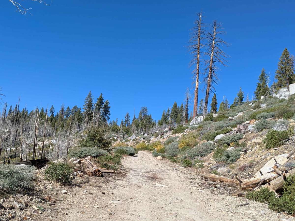 Fence Creek Road - FS 6N06 photo 5