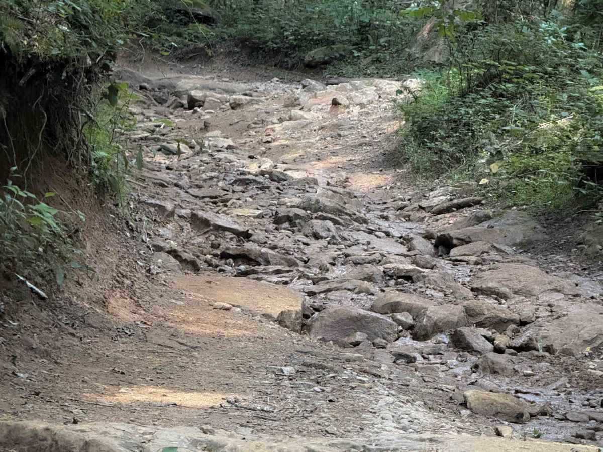 Ollie’s Creek Trail 2  photo 3