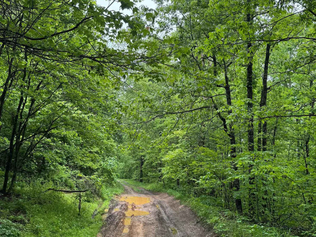 Duncan Knob photo 4