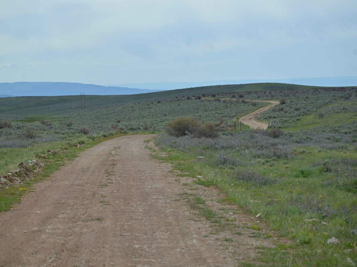Barker Spring Loop - FS 10050 photo 4