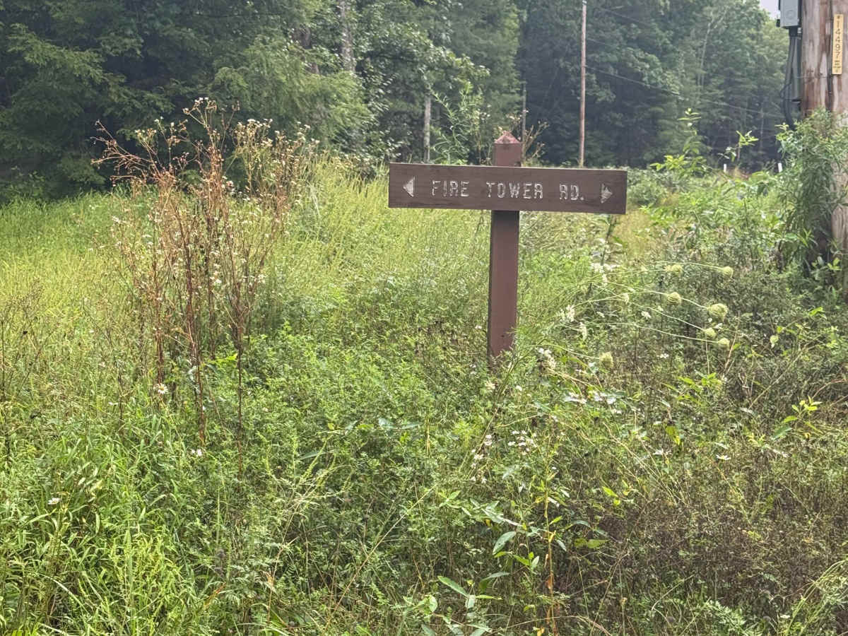 Fire Tower Road trail photo