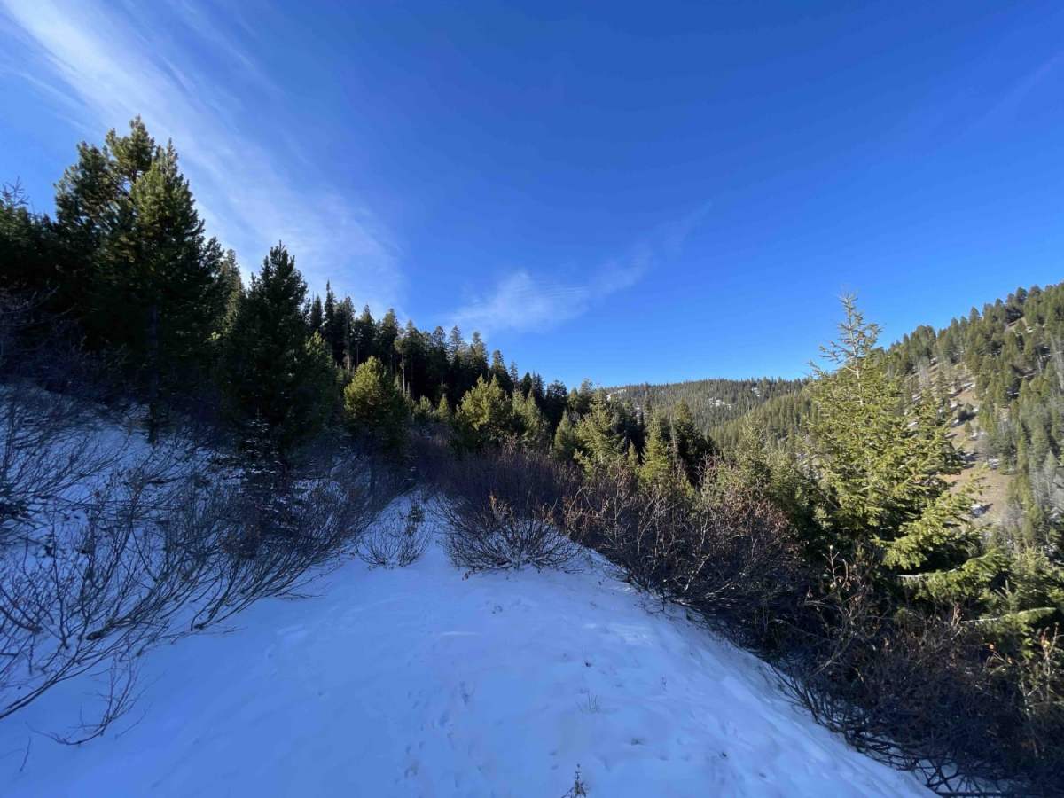 Coal Creek photo 3