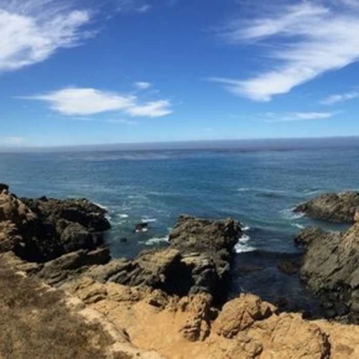 Near Headlands Trail