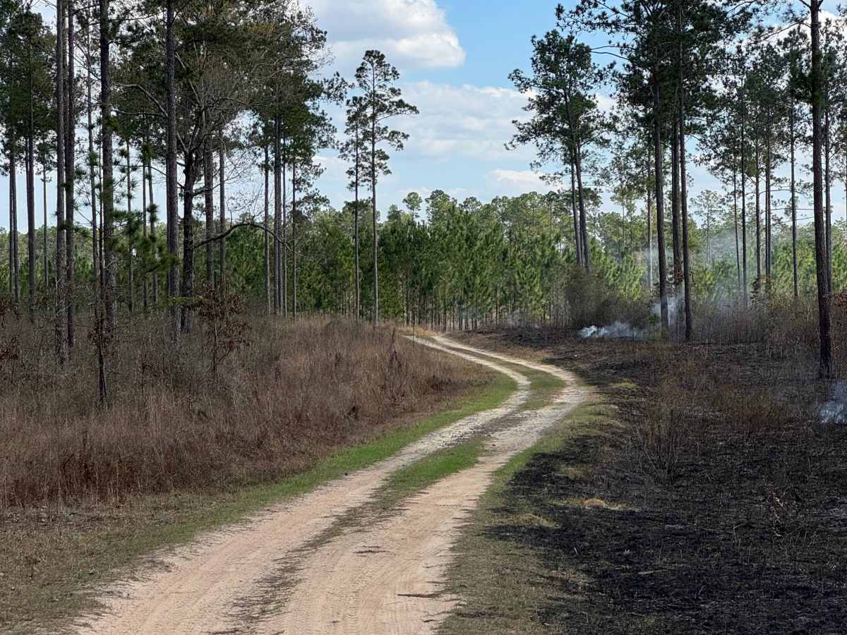 East Side Loop photo 5