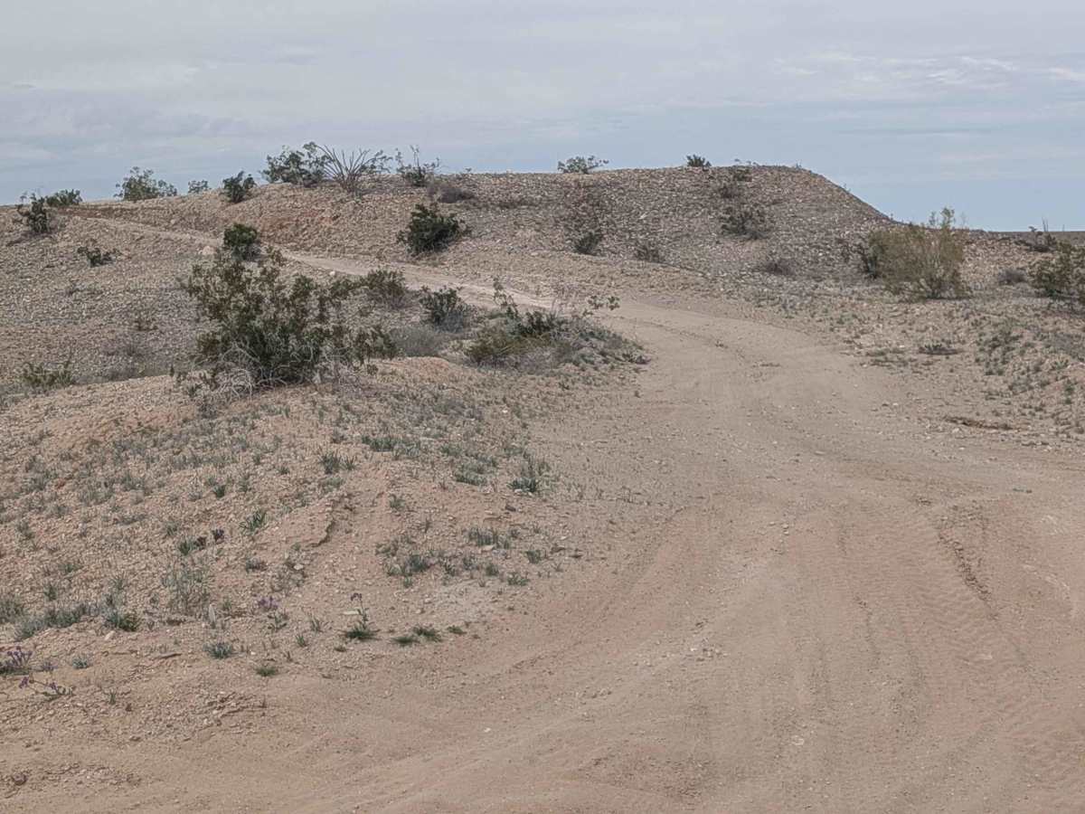 EC1224 trail photo
