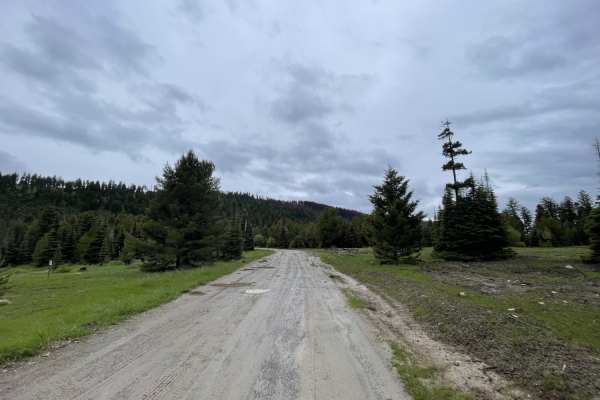 Summit Cabin Road