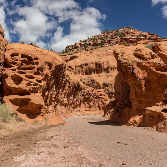 Near Horse Canyon Road