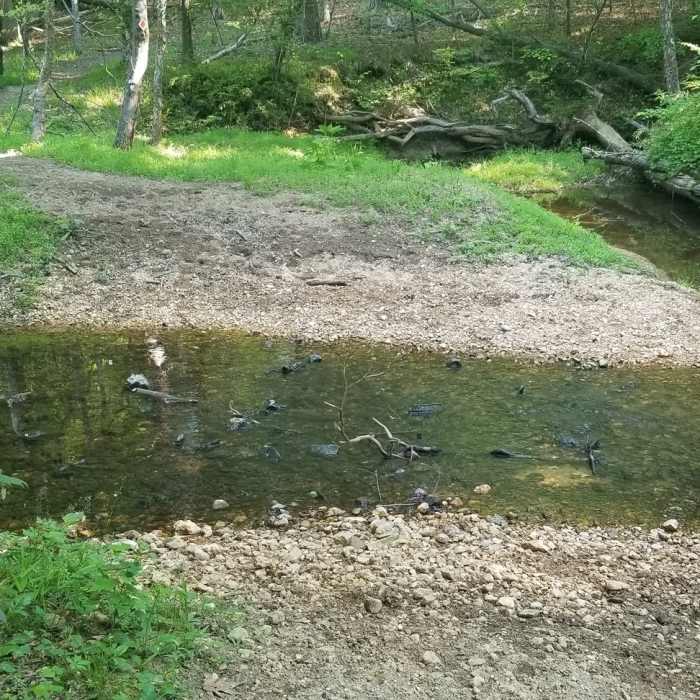 Creek crossing Near CCC Multi-use Trail