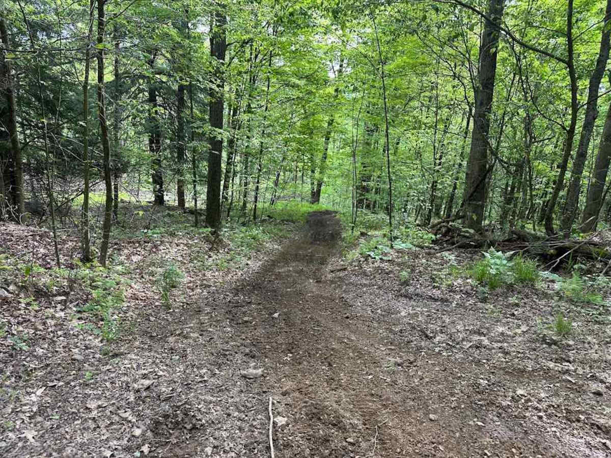 Orange Single Track G9 photo 6