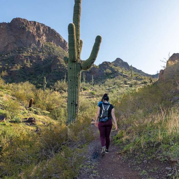 Near Sunset Vista Trail