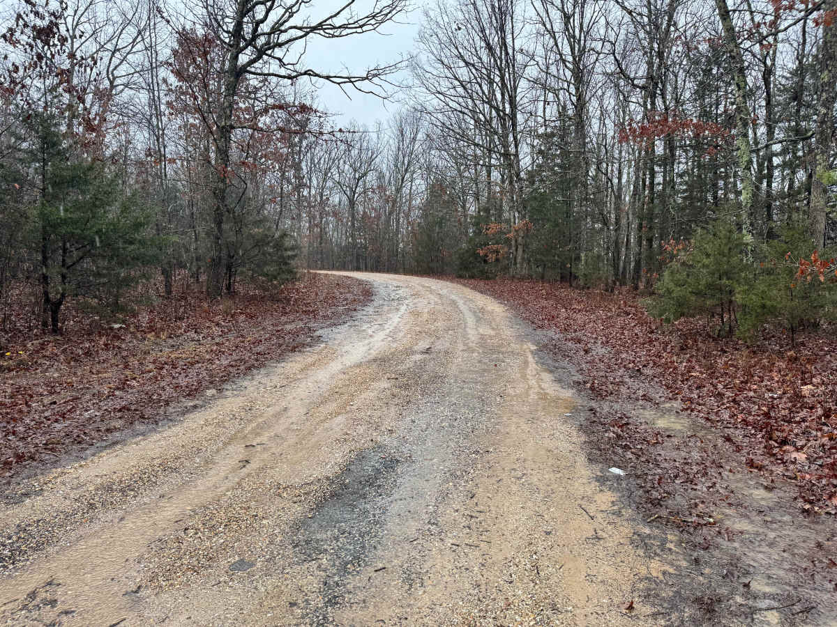 FS 1736 trail photo