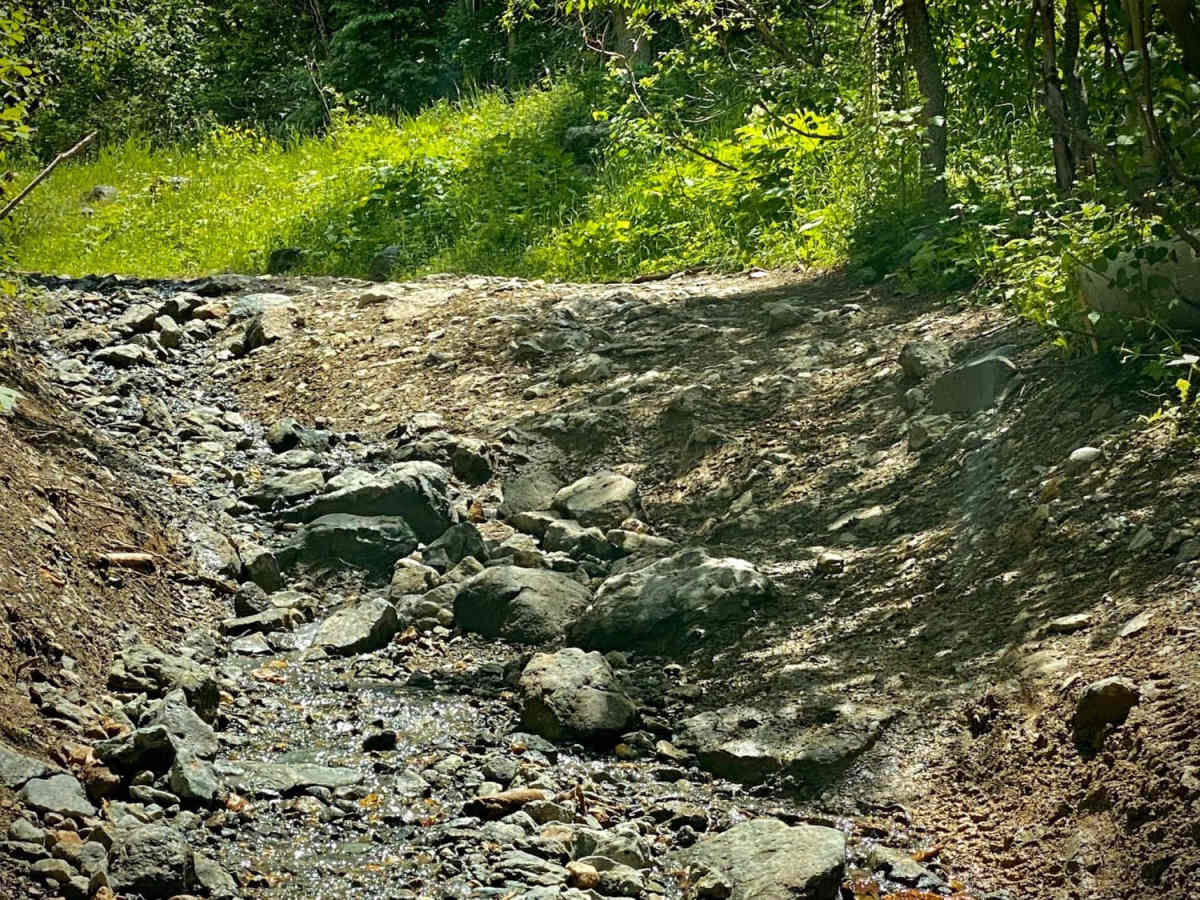 Upper Section of East Fork San Juan River Rd-Fr 667 photo 6