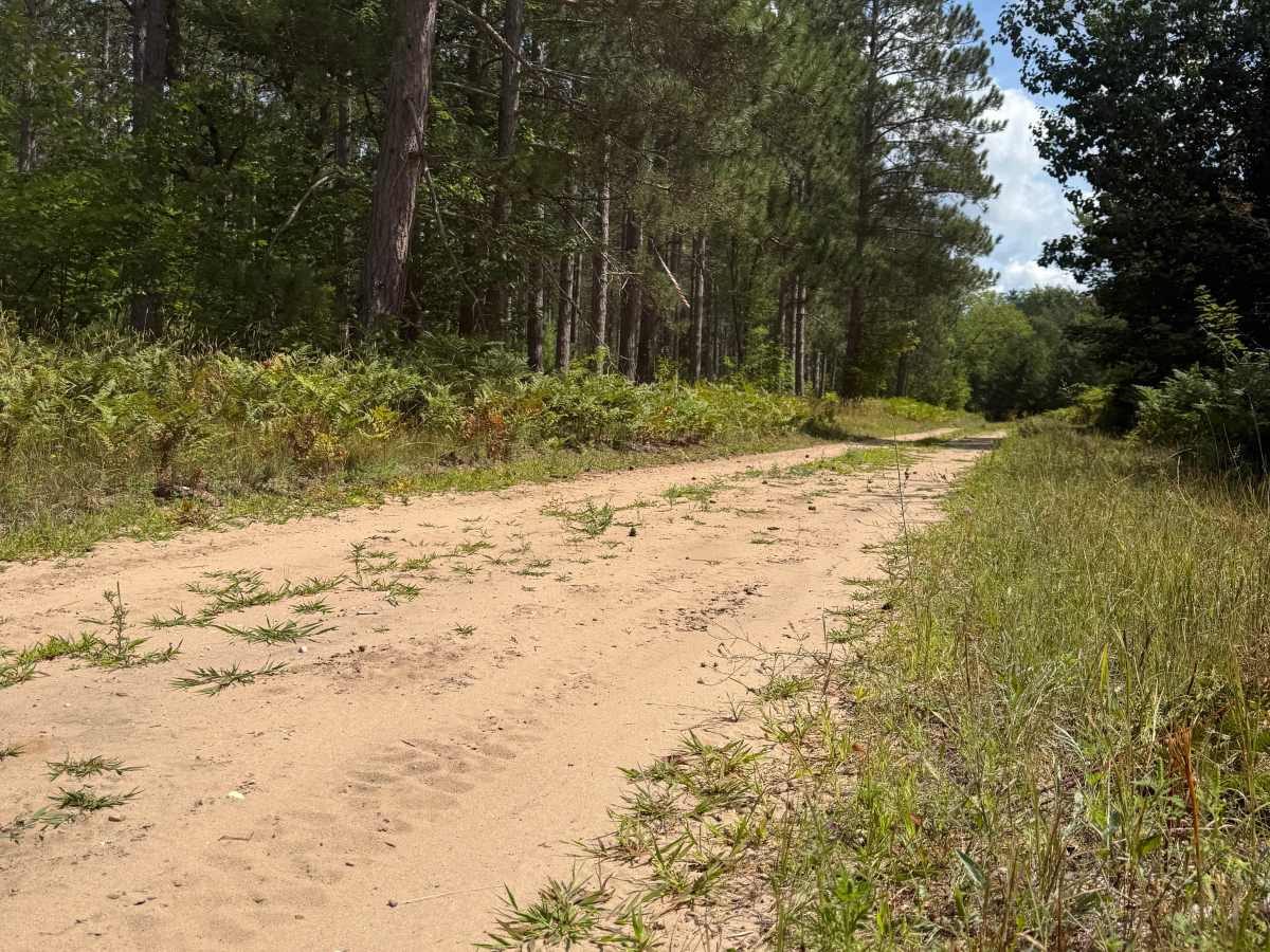 Deer Road Trail photo 6