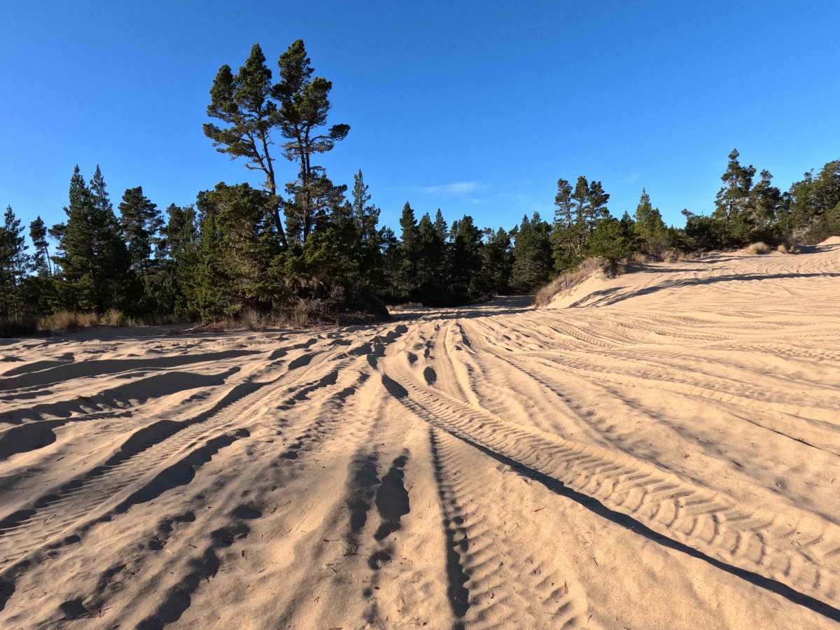 Hauser OHV Trail - 1341 photo 2