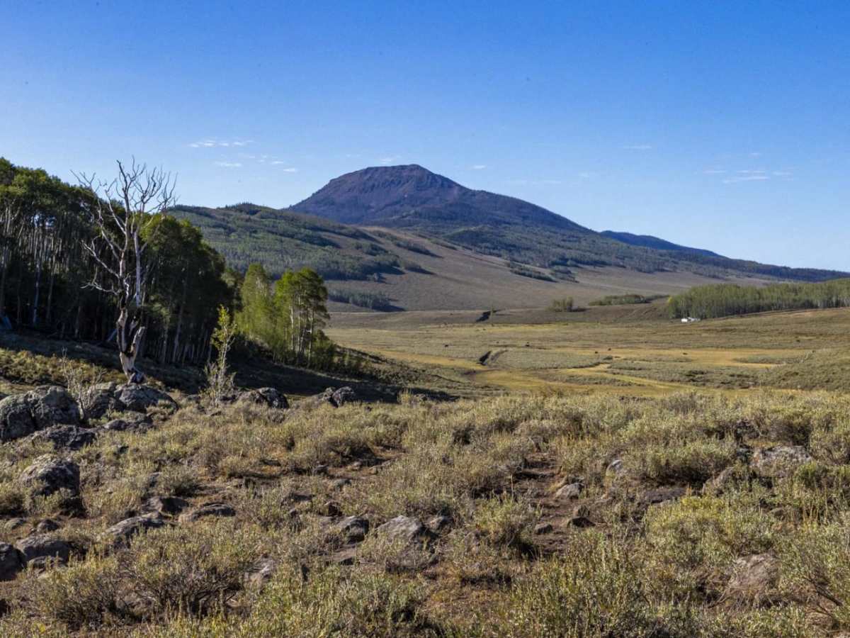 Meadow Gulch Trail photo 4