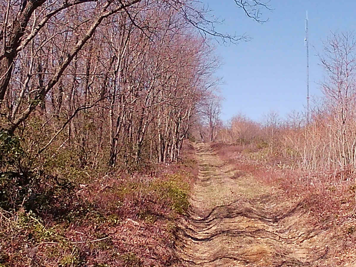 Governor's Trail photo 3
