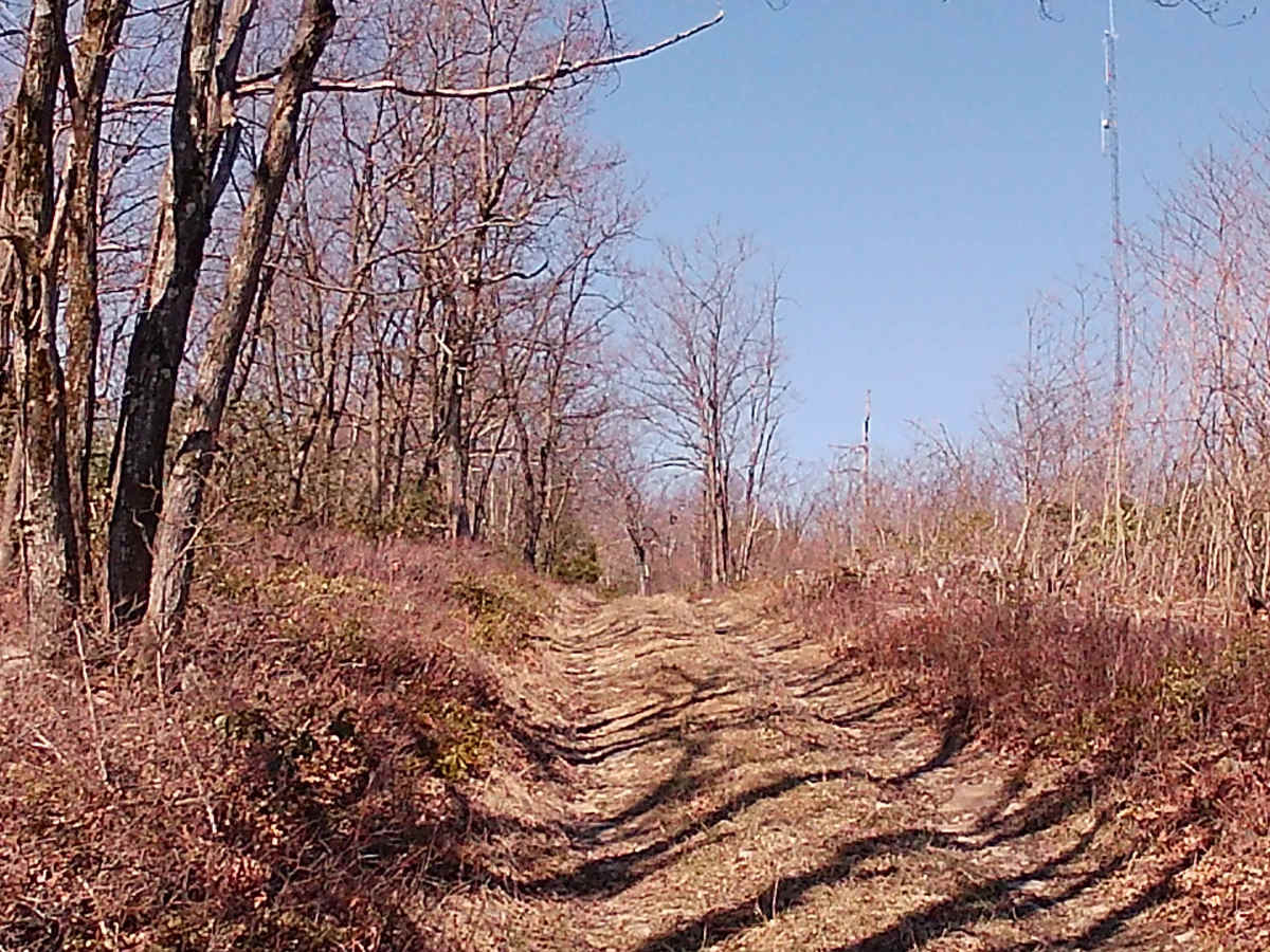 Governor's Trail photo 4