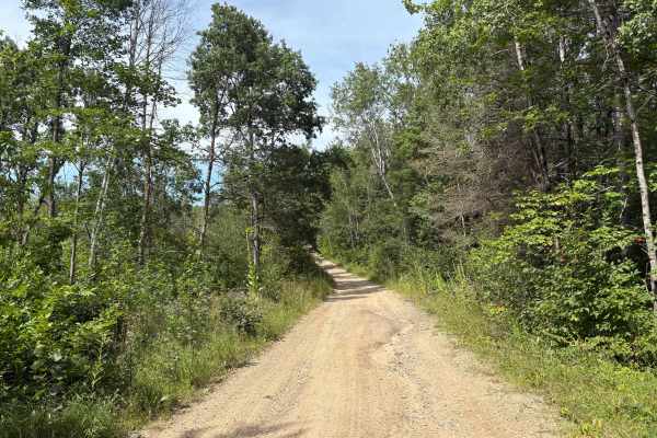 South Tulaby Trail