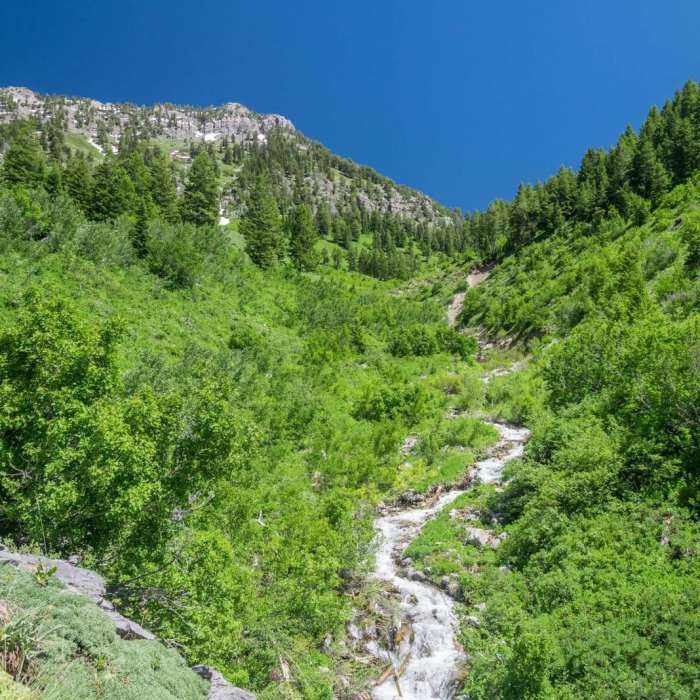 Near Cherry Creek Canyon