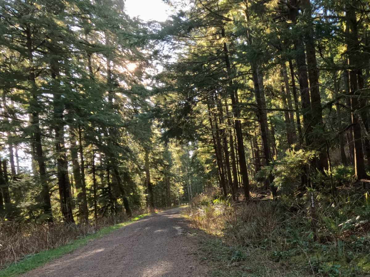 Farmer Creek  trail photo