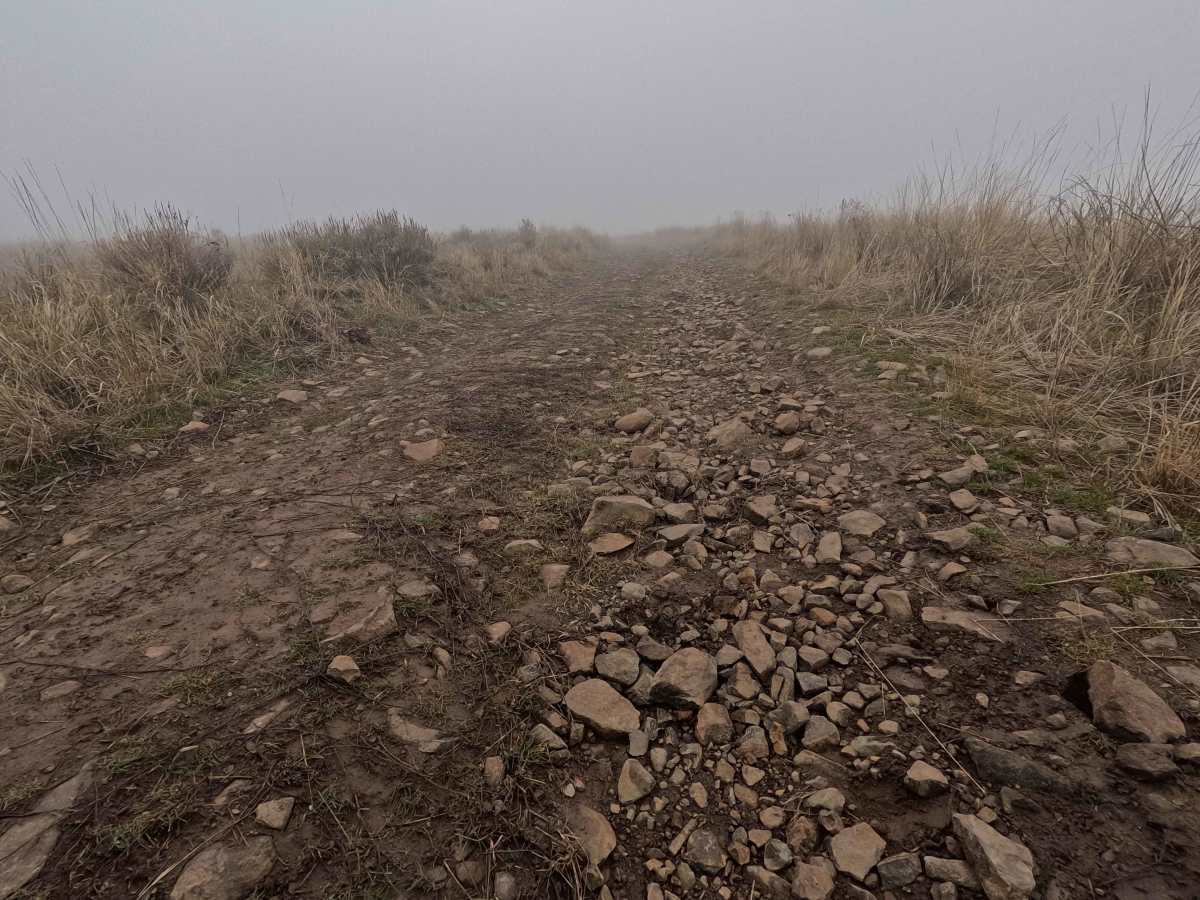 Road 14.14 photo 3