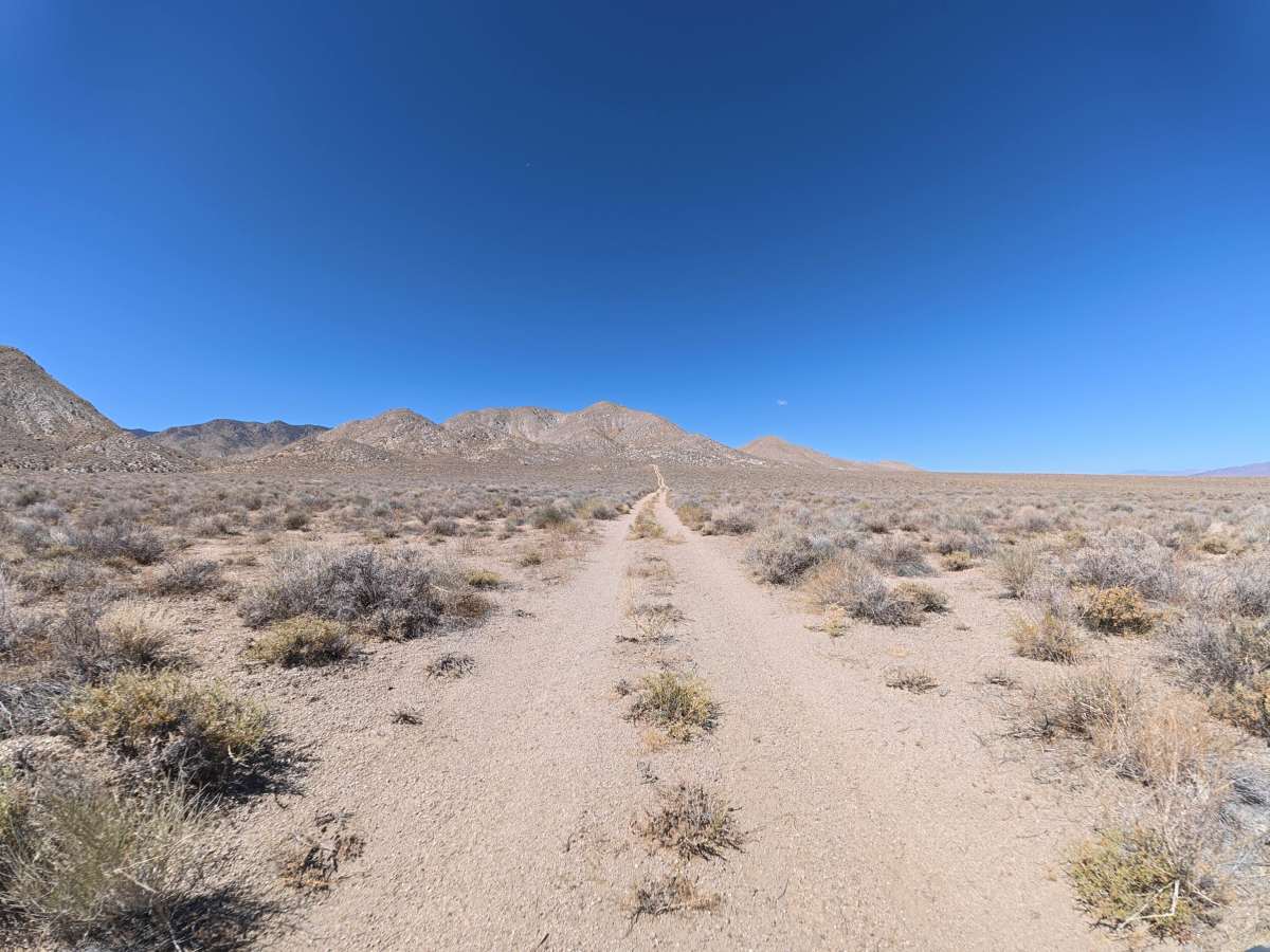 BLM 541 photo 4