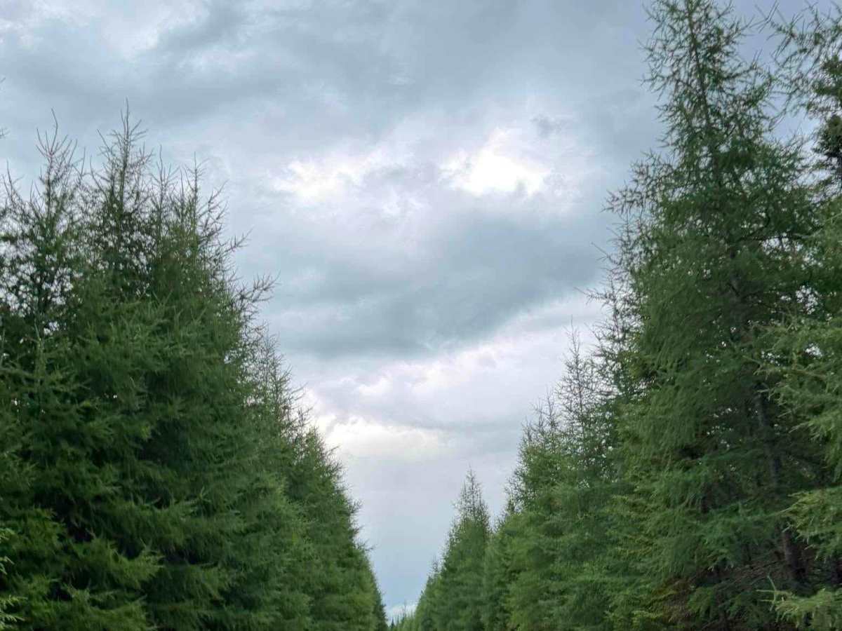 Chemin Bras-d'Apic photo 2