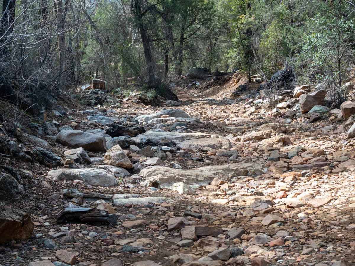 Cow Flat Road - FS 329 trail photo