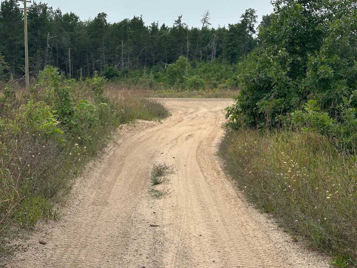 Hill Drive trail photo