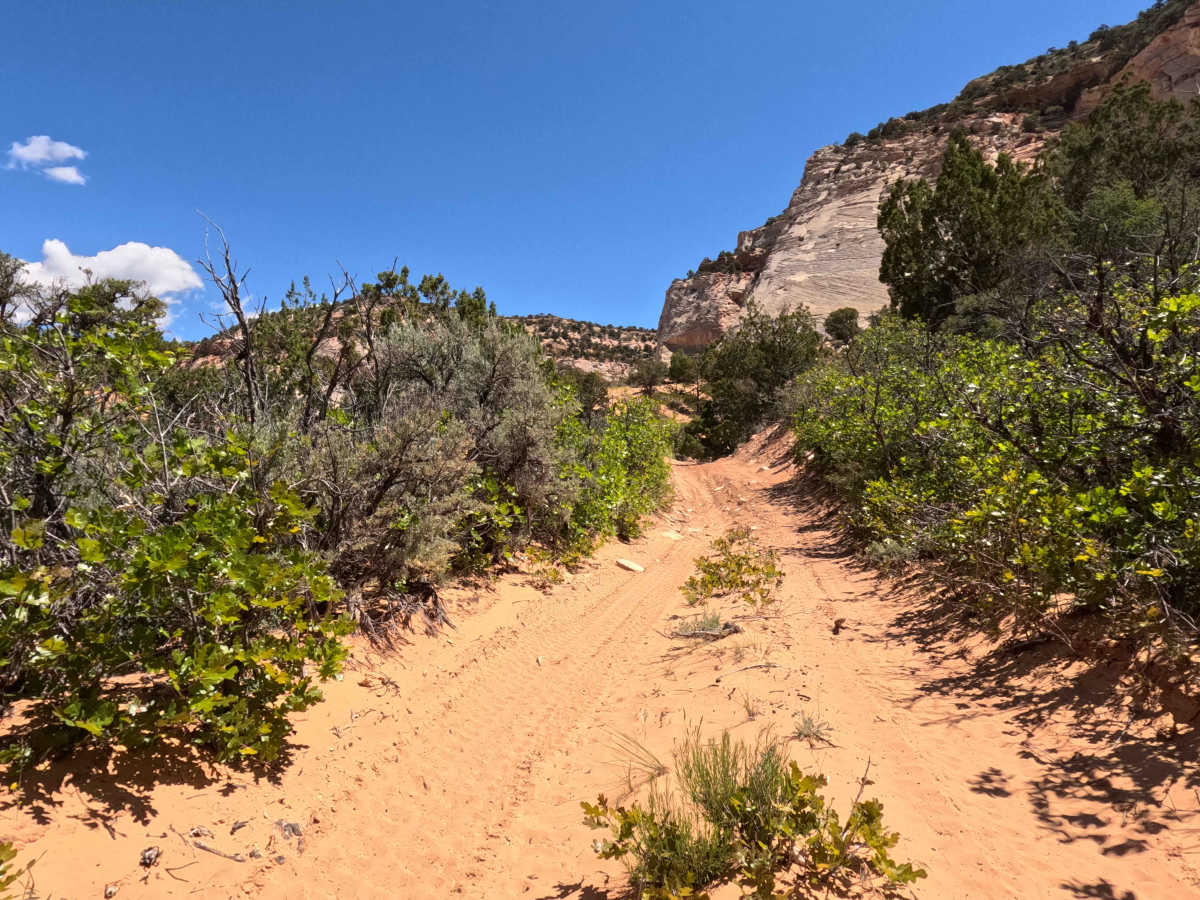 BLM 106Q photo 3